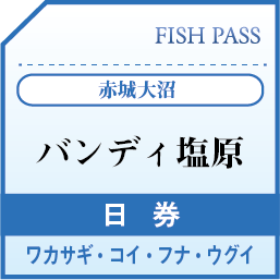 赤城大沼バンディ塩原日券