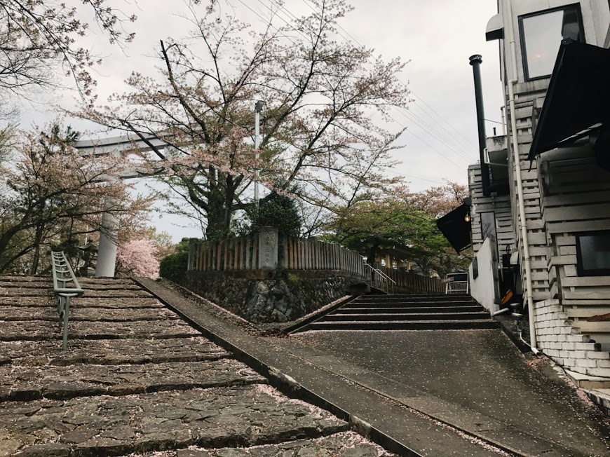 足羽川（足羽川漁協）                    (福井県福井市池田町)                                    足羽川（足羽川漁協）                                    (福井県福井市池田町)